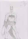I'm Batman.jpg (146134 bytes)